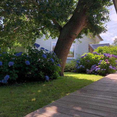 Ferienwohnung Idyllic Lakehouse - Dog Is Welcome Fenced Garden Haren  Exterior foto