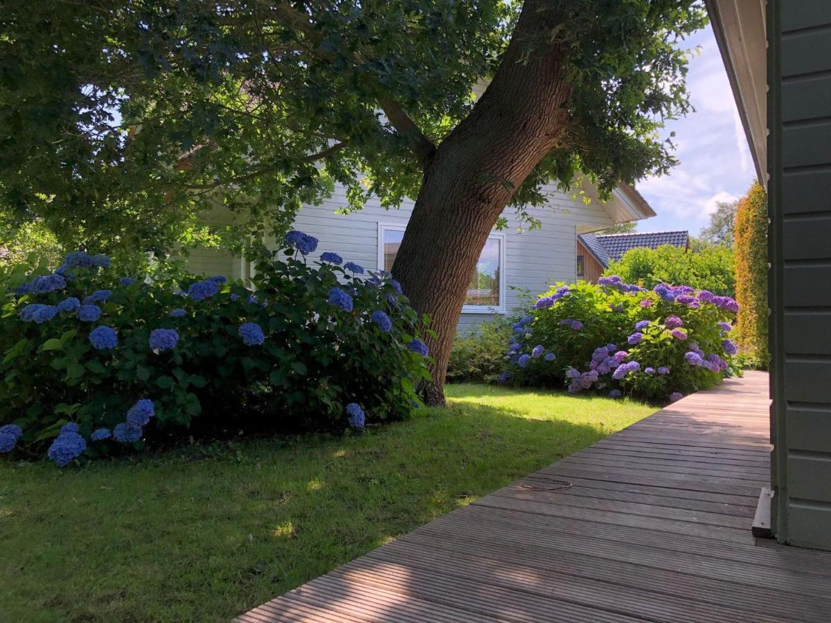 Ferienwohnung Idyllic Lakehouse - Dog Is Welcome Fenced Garden Haren  Exterior foto