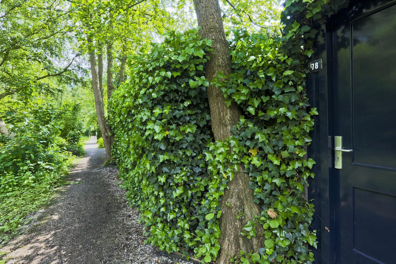 Ferienwohnung Idyllic Lakehouse - Dog Is Welcome Fenced Garden Haren  Exterior foto