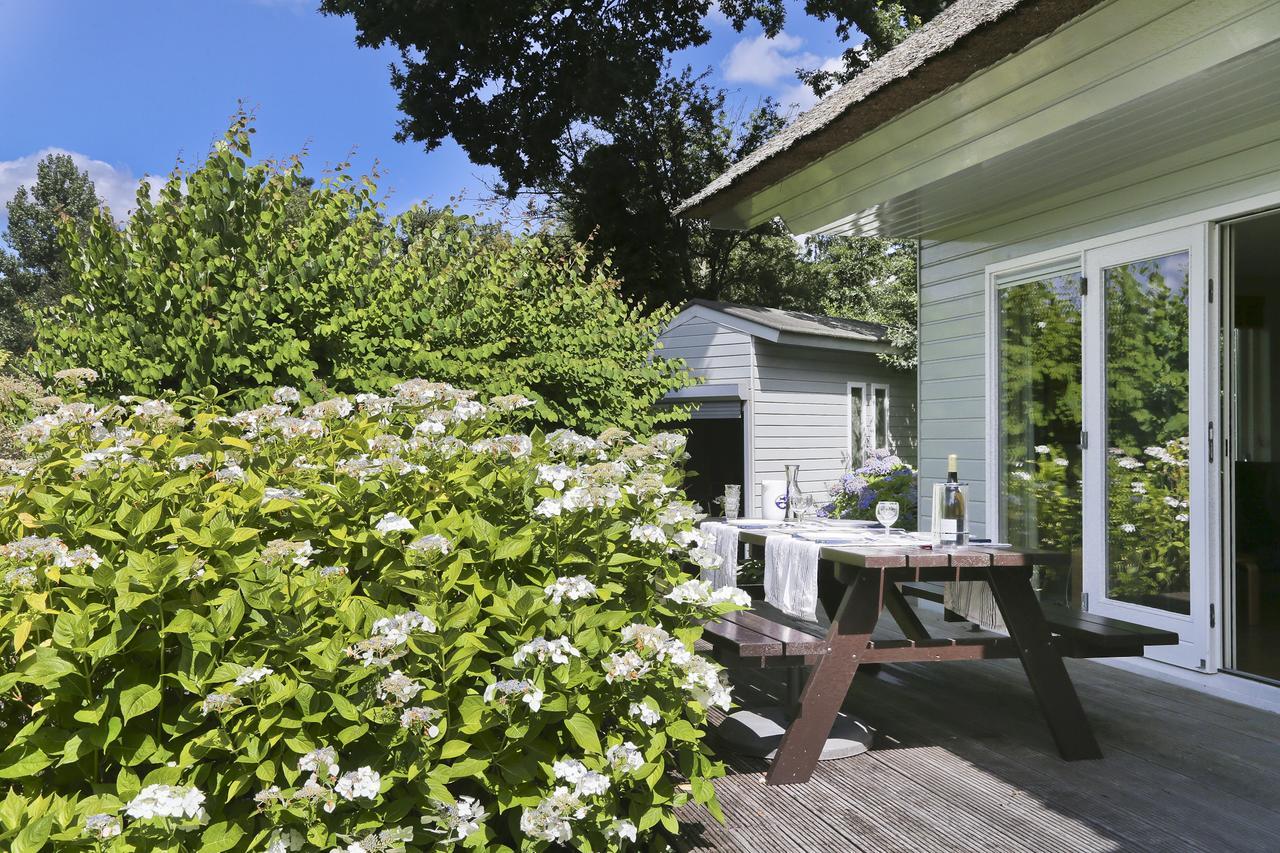 Ferienwohnung Idyllic Lakehouse - Dog Is Welcome Fenced Garden Haren  Exterior foto